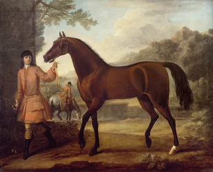 Godolphin Arabian